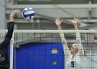 VB vs UMass Boston  Wheaton Women’s Volleyball vs UMass Boston. - Photo by Keith Nordstrom