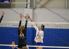 VB vs UMass Boston  Wheaton Women’s Volleyball vs UMass Boston. - Photo by Keith Nordstrom