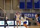 VB vs UMass Boston  Wheaton Women’s Volleyball vs UMass Boston. - Photo by Keith Nordstrom